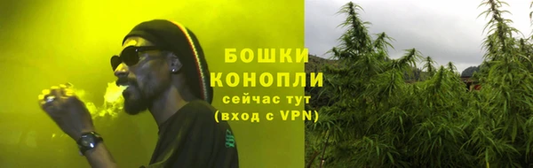 винт Рославль