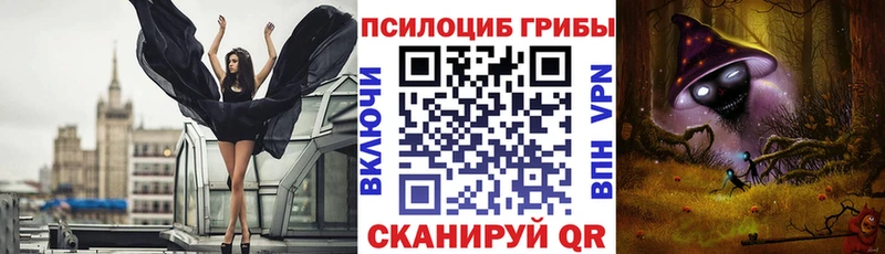 Галлюциногенные грибы Psilocybe  Воткинск 